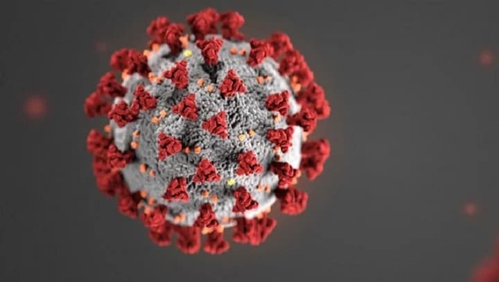 Illustration of a coronavirus particle